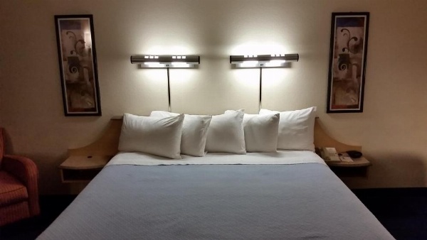 温德姆博伊纳公园戴斯酒店 image 22